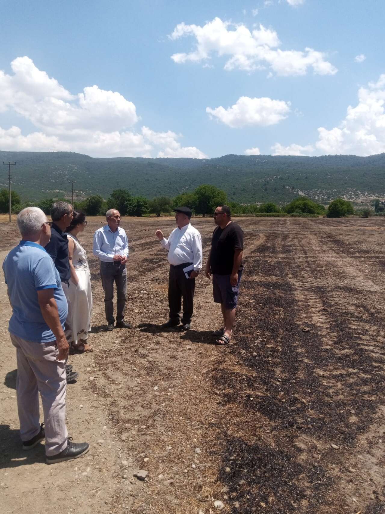 Yeşilyurt'taki Anız Yangınında 14 Ton Saman Kül Oldu: Menteşe Ziraat Odası Bölgede İnceleme Yaptı 4